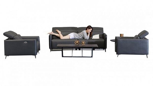 Набор мебели (диван, кресло (2 шт.)) Xiaomi Leather Home Interesting Electric Function Leather Sofa 