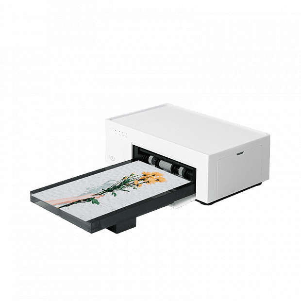 Принтер Xiaomi Polar Print Printer Official Standard (White/Белый) 